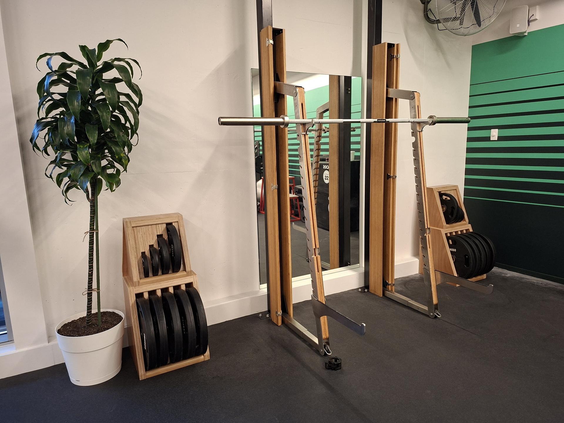 Tortoise timber barbell rack with plate storage and plant, Shell Green striped wall behind