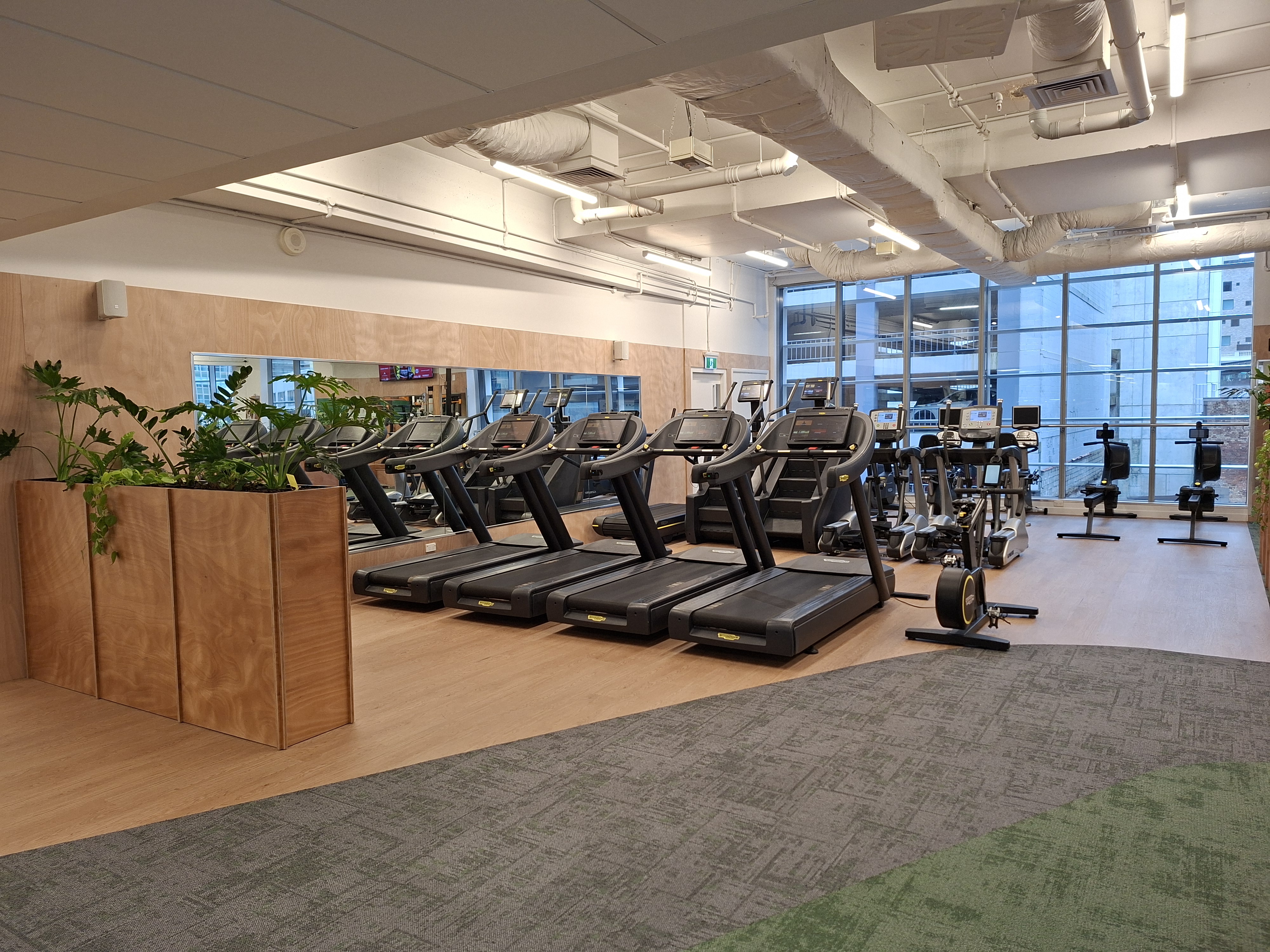 Cardio zone — treadmills, ellipticals and rowers with timber planter boxes and floor-to-ceiling windows