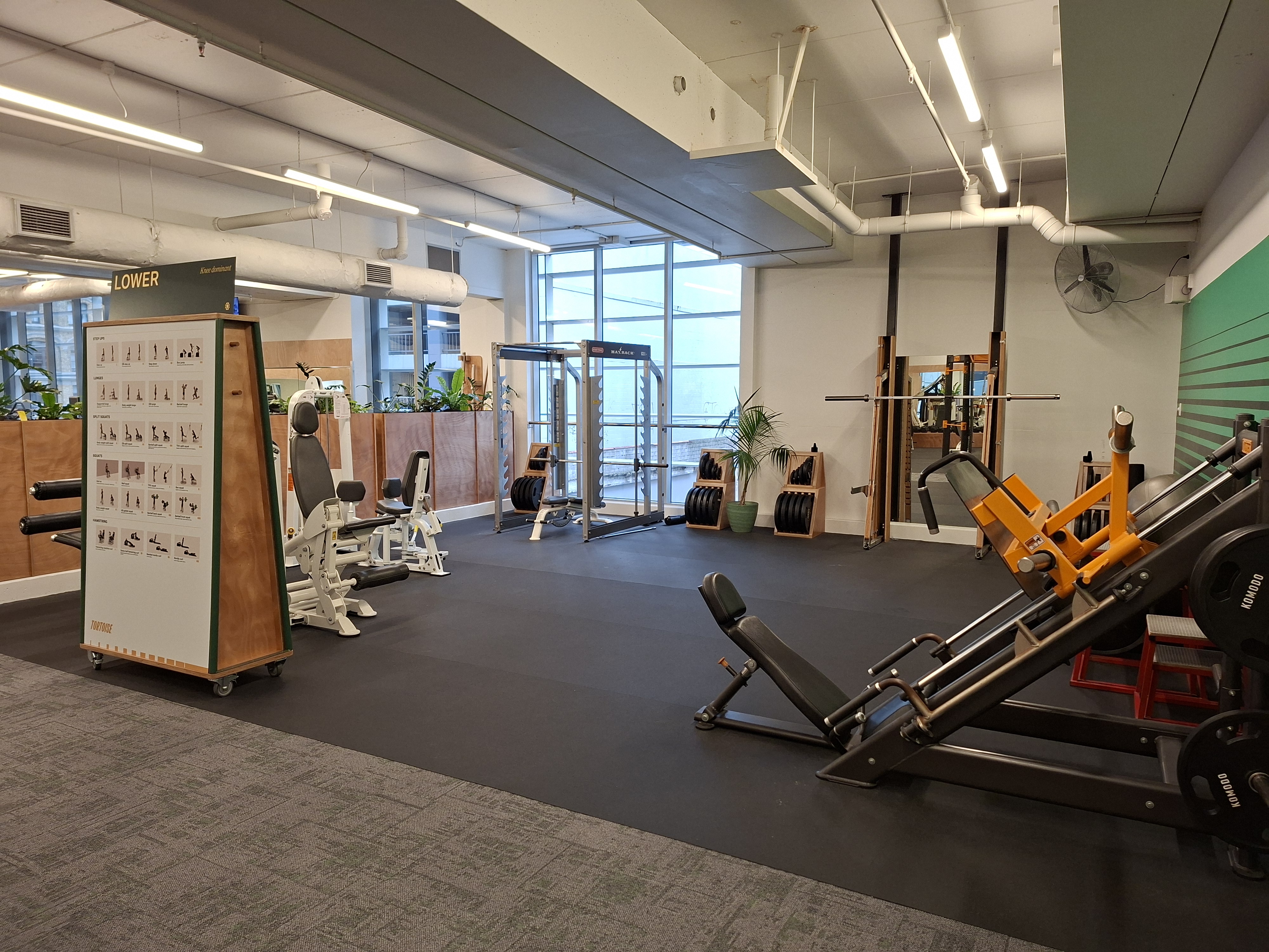 Knee dominant zone — leg press, leg extension, Smith machine and power rack