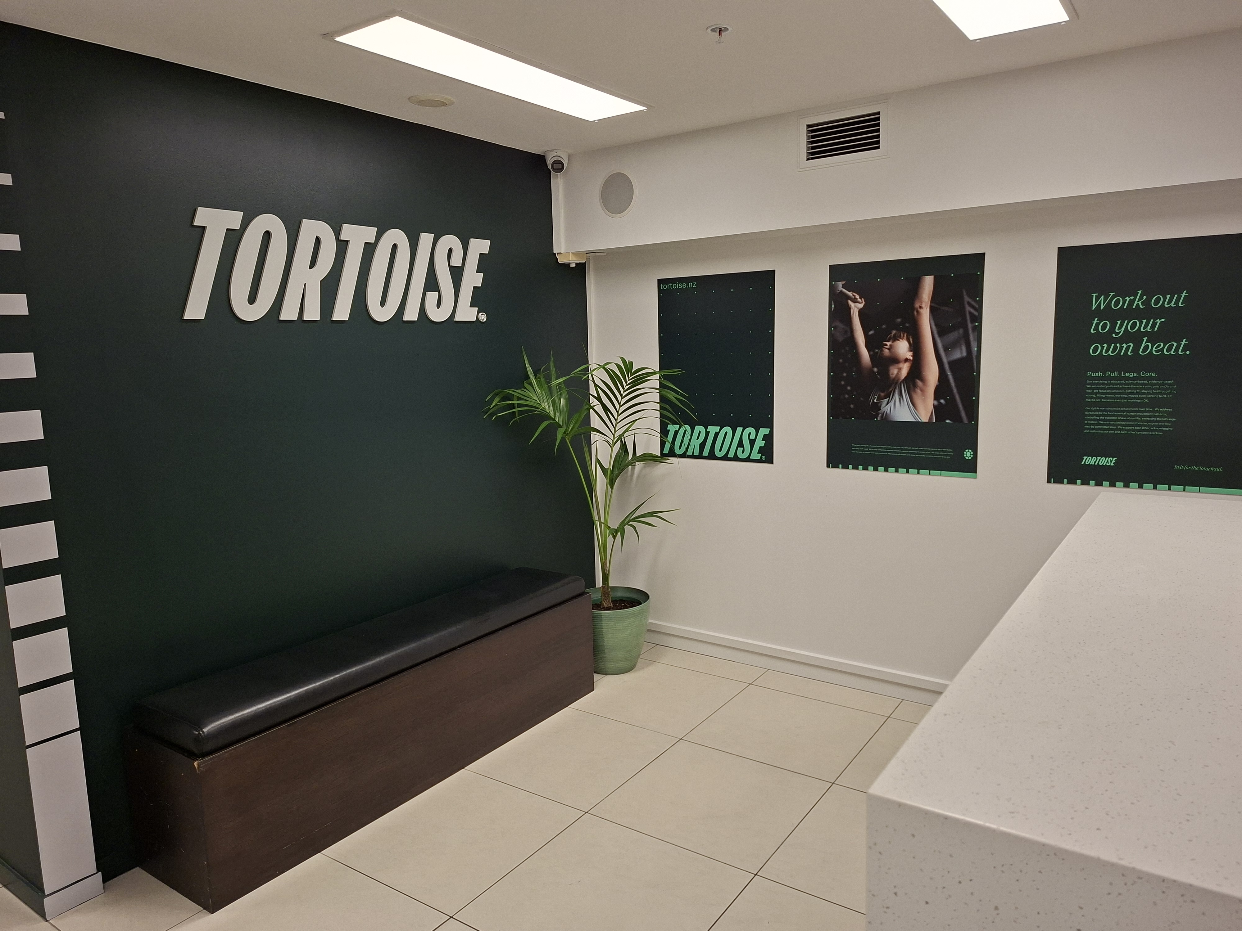 Tortoise reception area — Come out of your shell mural on left, Tortoise wordmark on dark green wall on right, reception desk and plants in foreground